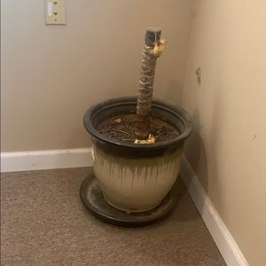 Meet your Posher, Evan